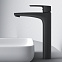 Смеситель для раковины (умывальника) AM.PM Gem F90A92022 высокий, черный