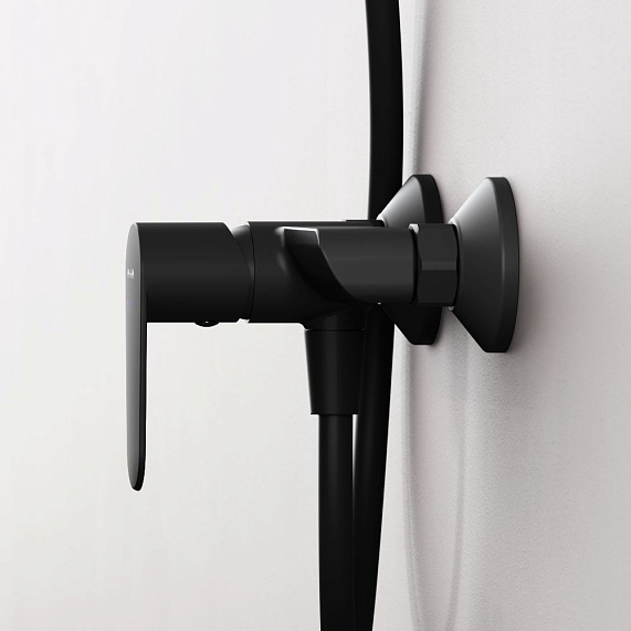 Смеситель для душа AM.PM Above F9X20022 черный-3